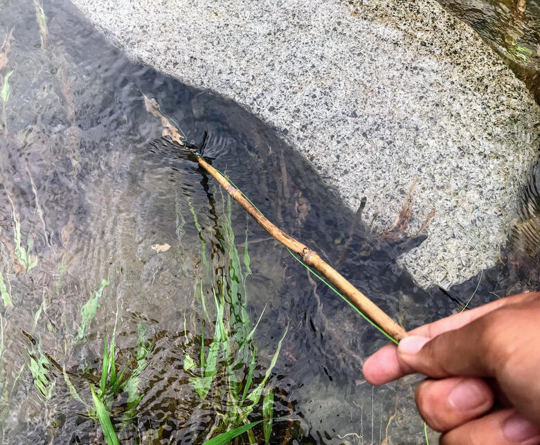 ウナギ　釣り　穴釣り