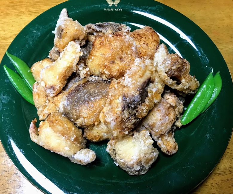 ネコザメ　釣り　怪魚