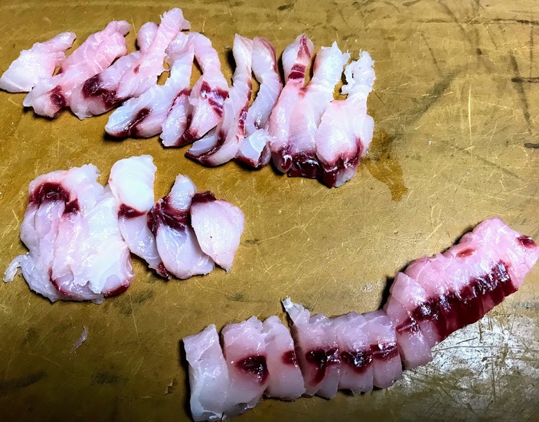 カスザメ　釣り　怪魚