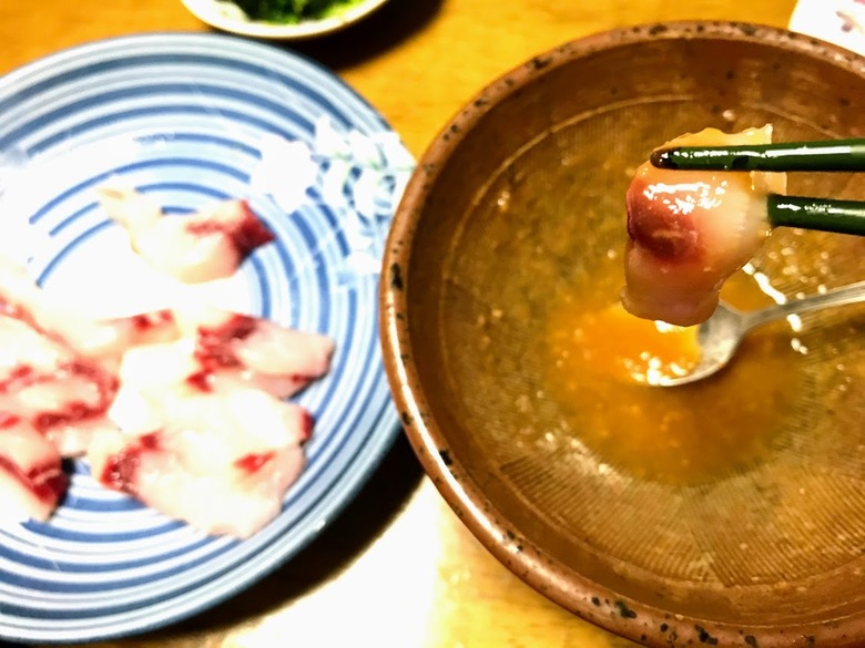 カスザメ　釣り　怪魚