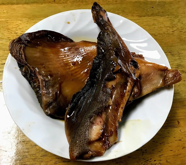 カスザメ　釣り　怪魚