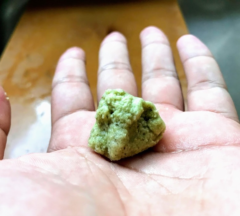 カスザメ　釣り　怪魚