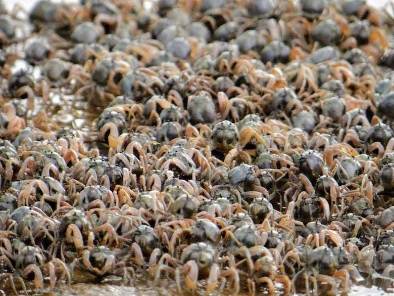 f:id:shimamayaa:20200809122021j:plain