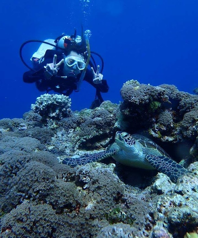 f:id:shimamayaa:20200809122634j:plain