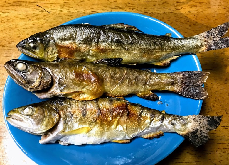 源流釣り で幻のイワナ ゴギ を狙う冒険 沖縄冒険日誌 しままや