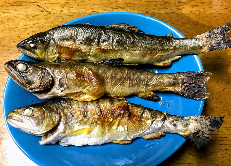 渓流　源流　釣り　イワナ　ヤマメ　ゴギ