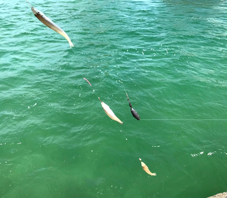 シロギス　釣り　ちょい投げ　