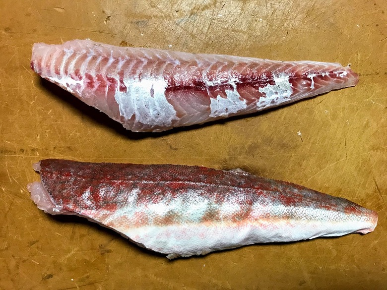 ホウボウ　怪魚　食べ方　釣り