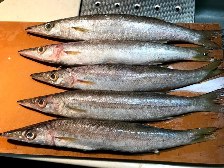 ジグサビキ　釣り　カマス　ジギング