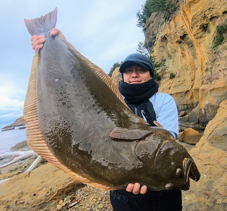 ヒラメ　釣り　座布団　サーフ　泳がせ　ルアー　フラットフィッシュ