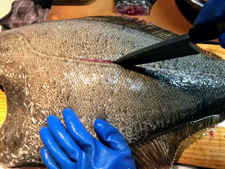ヒラメ　釣り　座布団　サーフ　泳がせ　ルアー　フラットフィッシュ