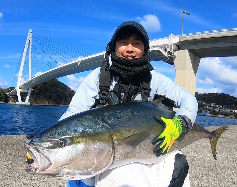 ヒラマサ　ロックショア　釣り　泳がせ　ショアジギング　ルアー