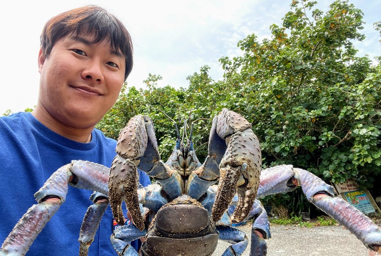 ヤシガニ　巨大生物　沖縄　生き物　怪魚　エコツアー