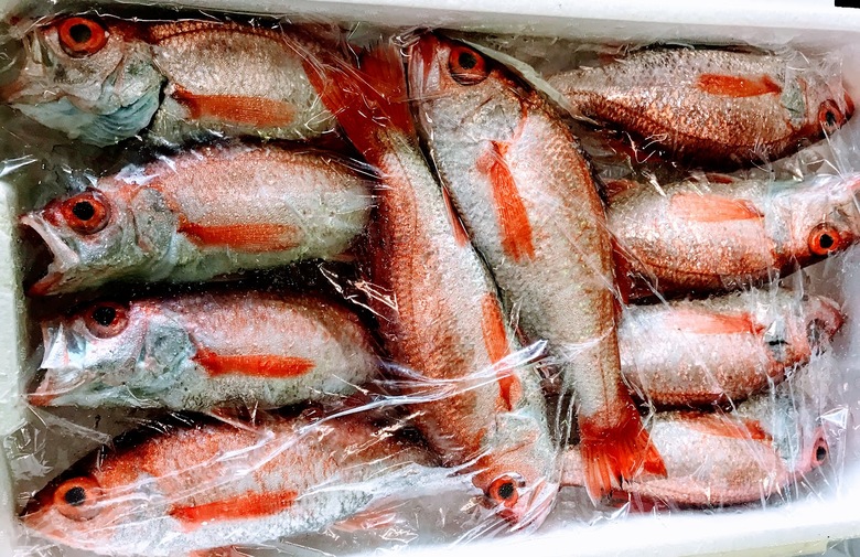 ノドグロ　アカムツ　深海ジギング　深海魚