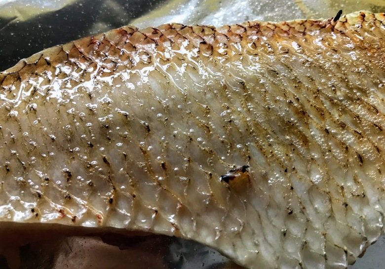 のどぐろ　ノドグロ　アカムツ　深海ジギング