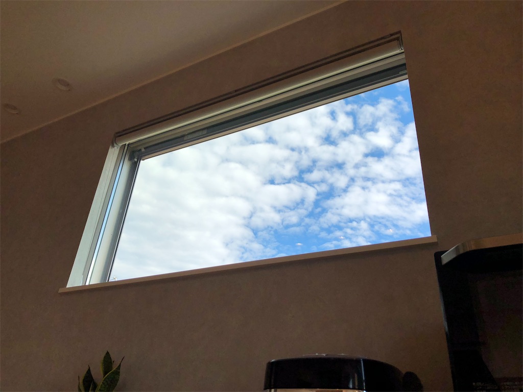 f:id:shimameiblog:20190526175137j:image f:id:shimameiblog:20190526175137j:image