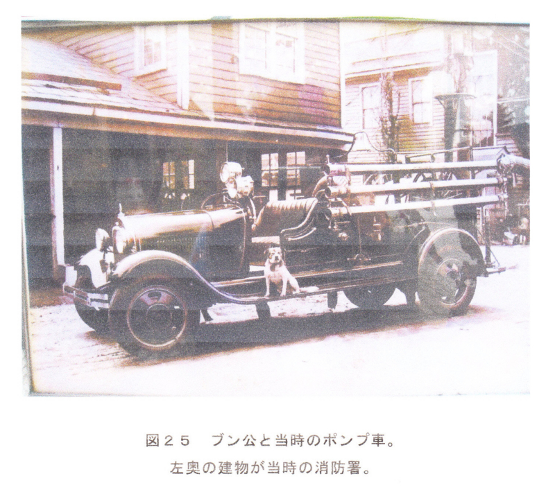 f:id:shimamukwansei:20100215183216j:image:left