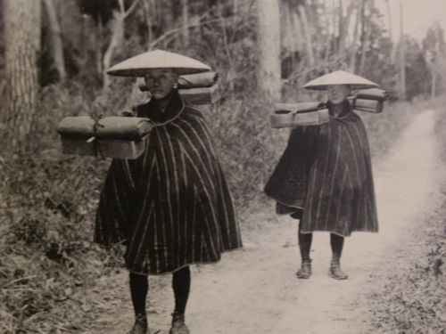 f:id:shimamukwansei:20100910135629j:image:left f:id:shimamukwansei:20100910135629j:image:left