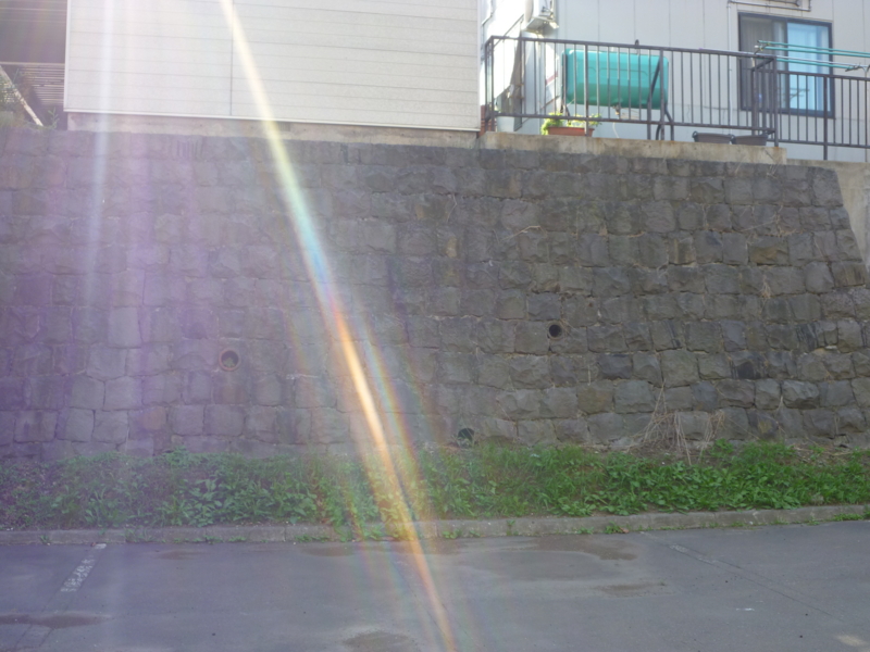 f:id:shimamukwansei:20100915142947j:image:left