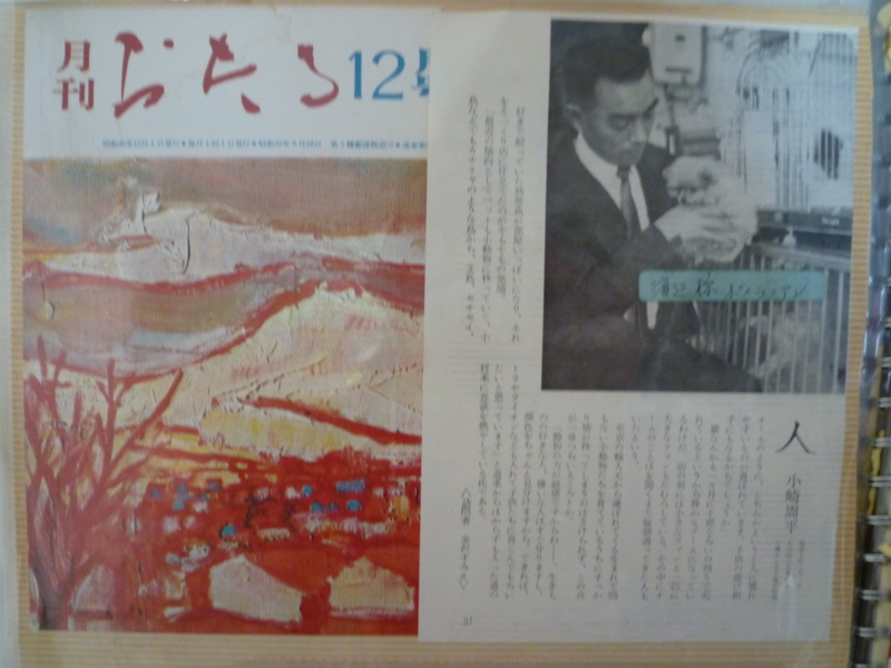 f:id:shimamukwansei:20100915164635j:image f:id:shimamukwansei:20100915164635j:image