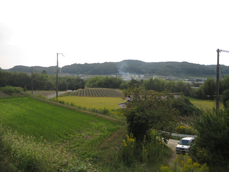 f:id:shimamukwansei:20101016150738j:image:left