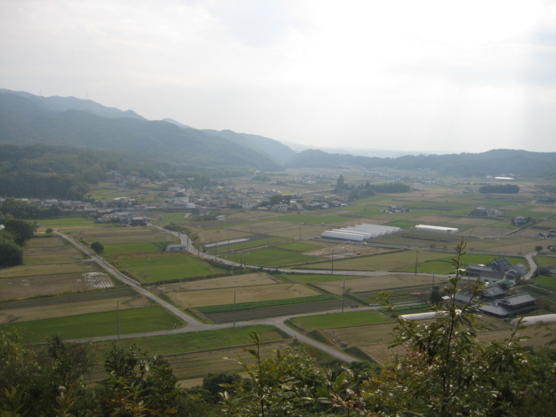 f:id:shimamukwansei:20101107135920j:image:left