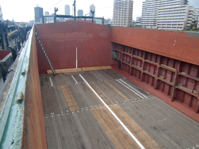 f:id:shimamukwansei:20101109130059j:image:left