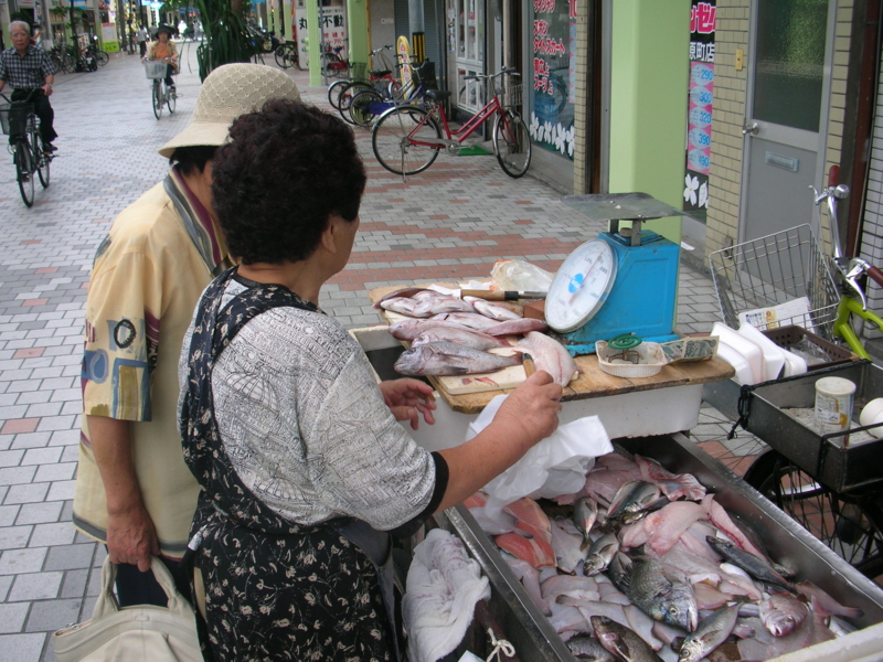 f:id:shimamukwansei:20110110060352j:image:left