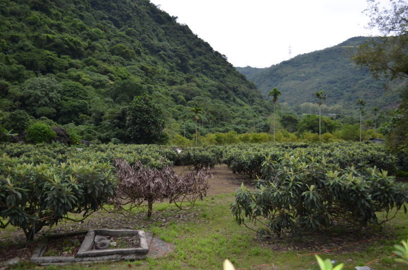 f:id:shimamukwansei:20111007145224j:image:w360