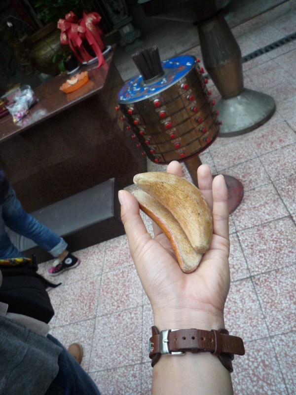 f:id:shimamukwansei:20111009111954j:image:w360