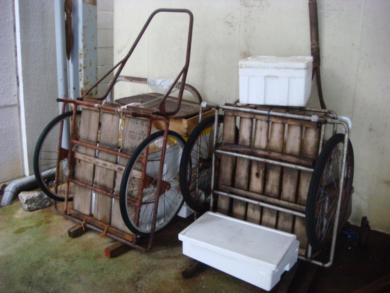 f:id:shimamukwansei:20130113122724j:image:left