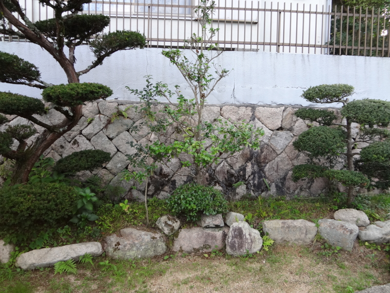 f:id:shimamukwansei:20130115234637j:image