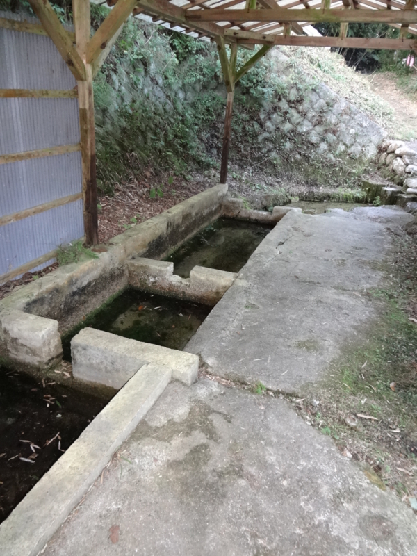 f:id:shimamukwansei:20130115234702j:image