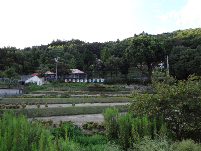 f:id:shimamukwansei:20130115234716j:image