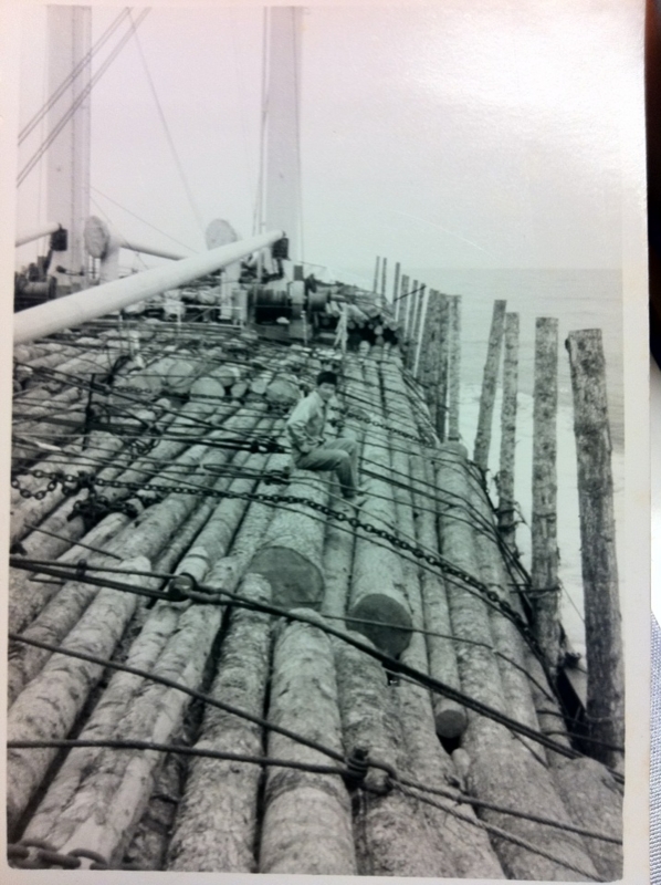 f:id:shimamukwansei:20130116040700j:image:w360