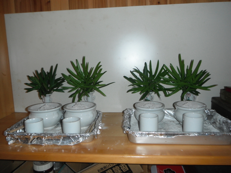 f:id:shimamukwansei:20130130152746j:image