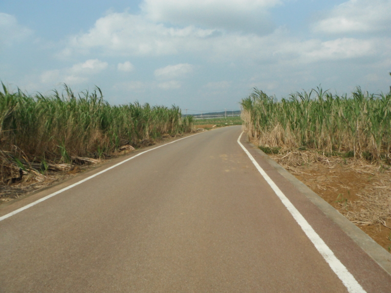 f:id:shimamukwansei:20130130153037j:image