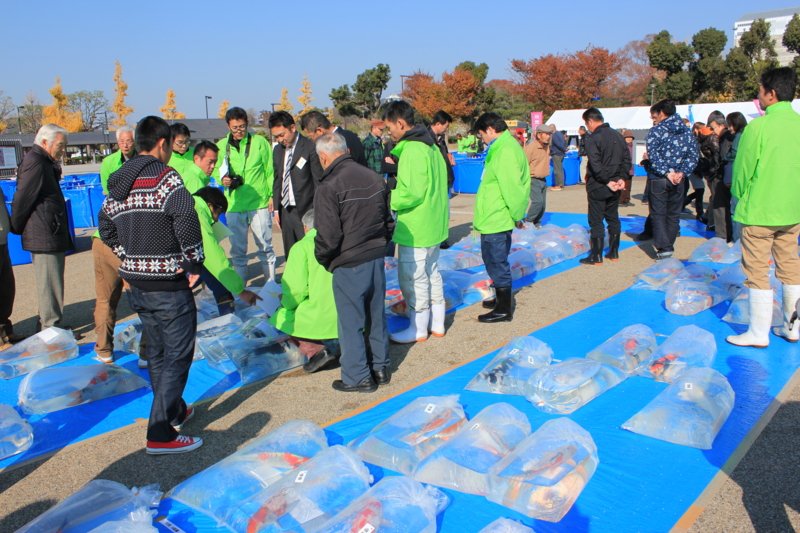 f:id:shimamukwansei:20140111150724j:image