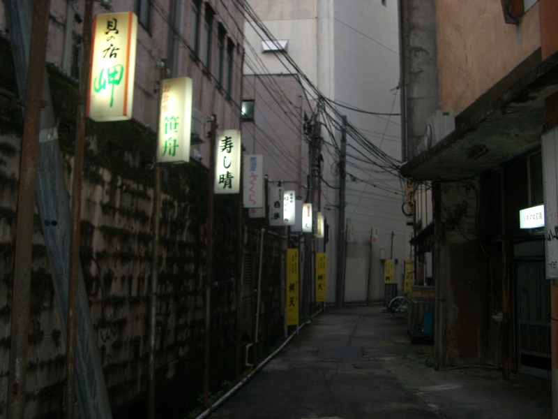 f:id:shimamukwansei:20140122210324j:image:w360