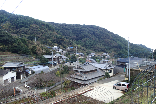 f:id:shimamukwansei:20160218011933p:image:w640