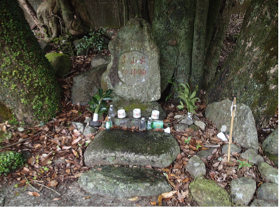 f:id:shimamukwansei:20160219001727p:image:w640