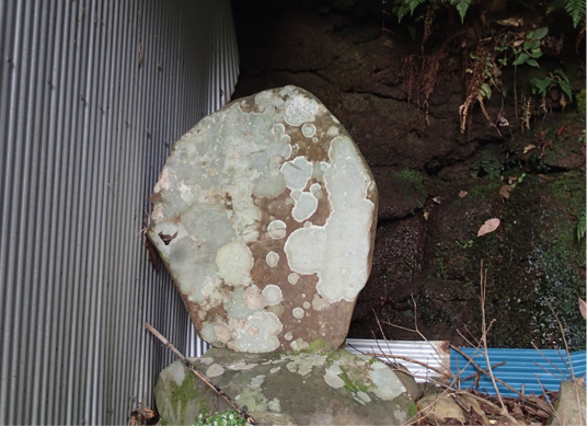 f:id:shimamukwansei:20160219001729p:image:w640