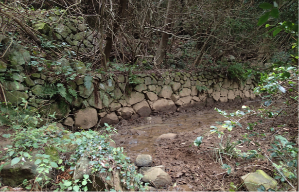 f:id:shimamukwansei:20160219004955p:image:w640