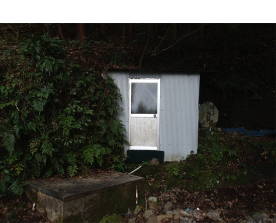 f:id:shimamukwansei:20160219004956p:image:w640