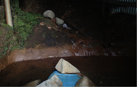 f:id:shimamukwansei:20160219004957p:image:w640