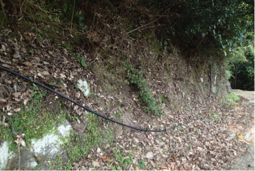 f:id:shimamukwansei:20160219004958p:image:w640