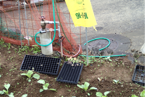 f:id:shimamukwansei:20160219005002p:image:w640