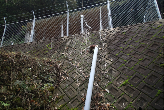 f:id:shimamukwansei:20160219005003p:image:w640