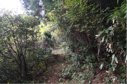 f:id:shimamukwansei:20160219205808p:image:w640