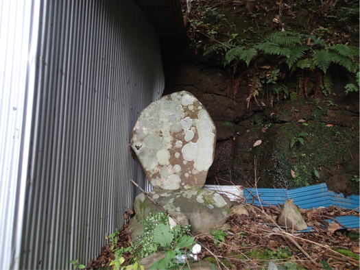 f:id:shimamukwansei:20160219205811p:image:w640